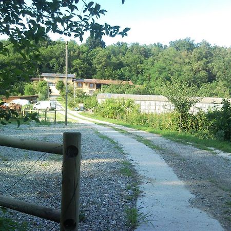 Villa La Bedina Rivara Esterno foto